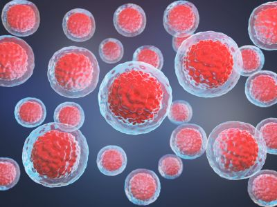 stemcell400x300